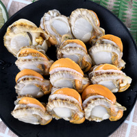 帶黃扇貝肉4斤大扇貝鮮活冷凍海鮮水產新鮮鮮貝即食蒜蓉粉絲包郵88